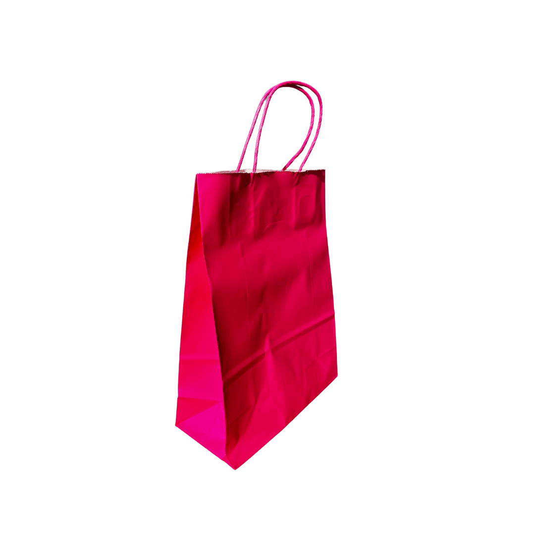 100 Bolsas Kraft Mediana FUCSIA, ROJA O AZUL 22x10x30